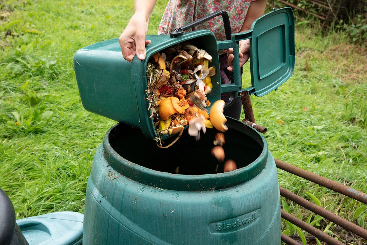 A,Woman,Emptying,A,Home,Composting,Bin,Into,An,Outdoor