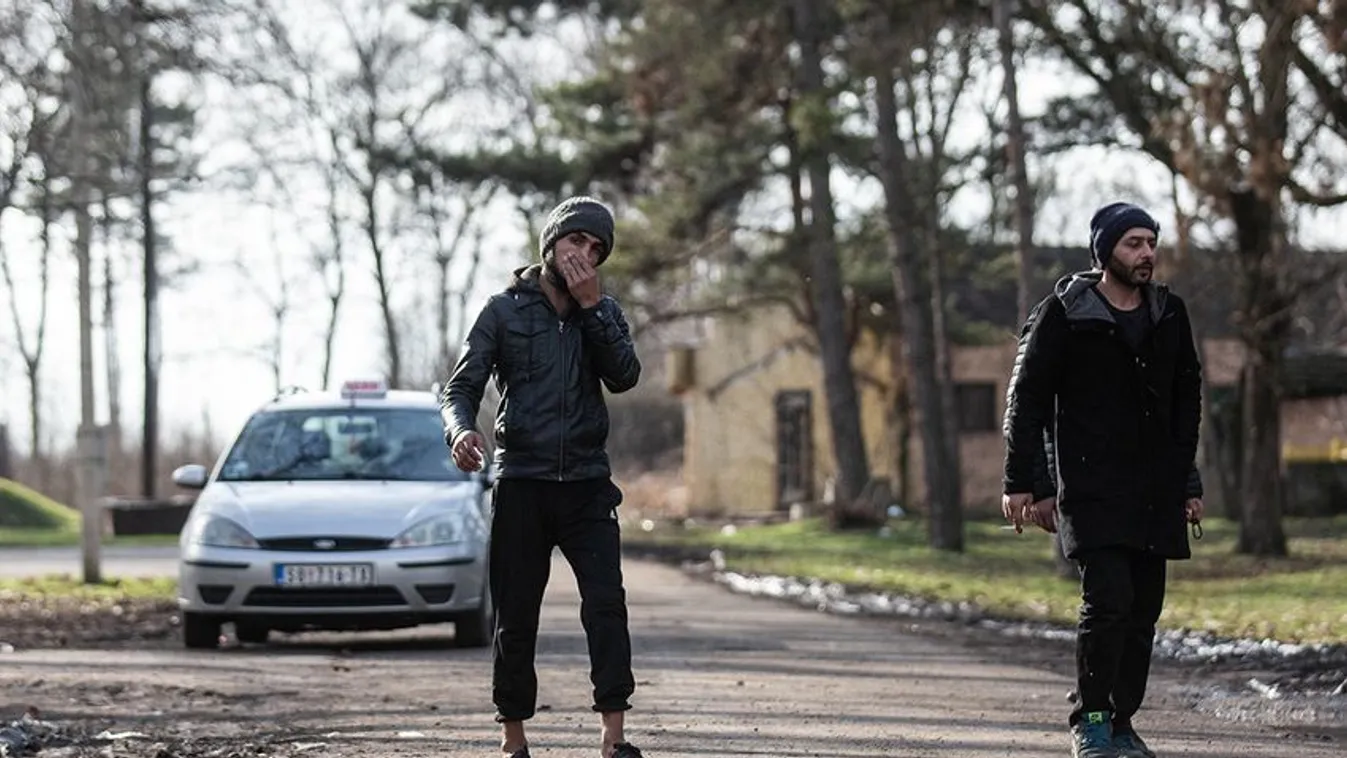 Nem tűrik tovább a vajdaságiak a randalírozó migránsokat!