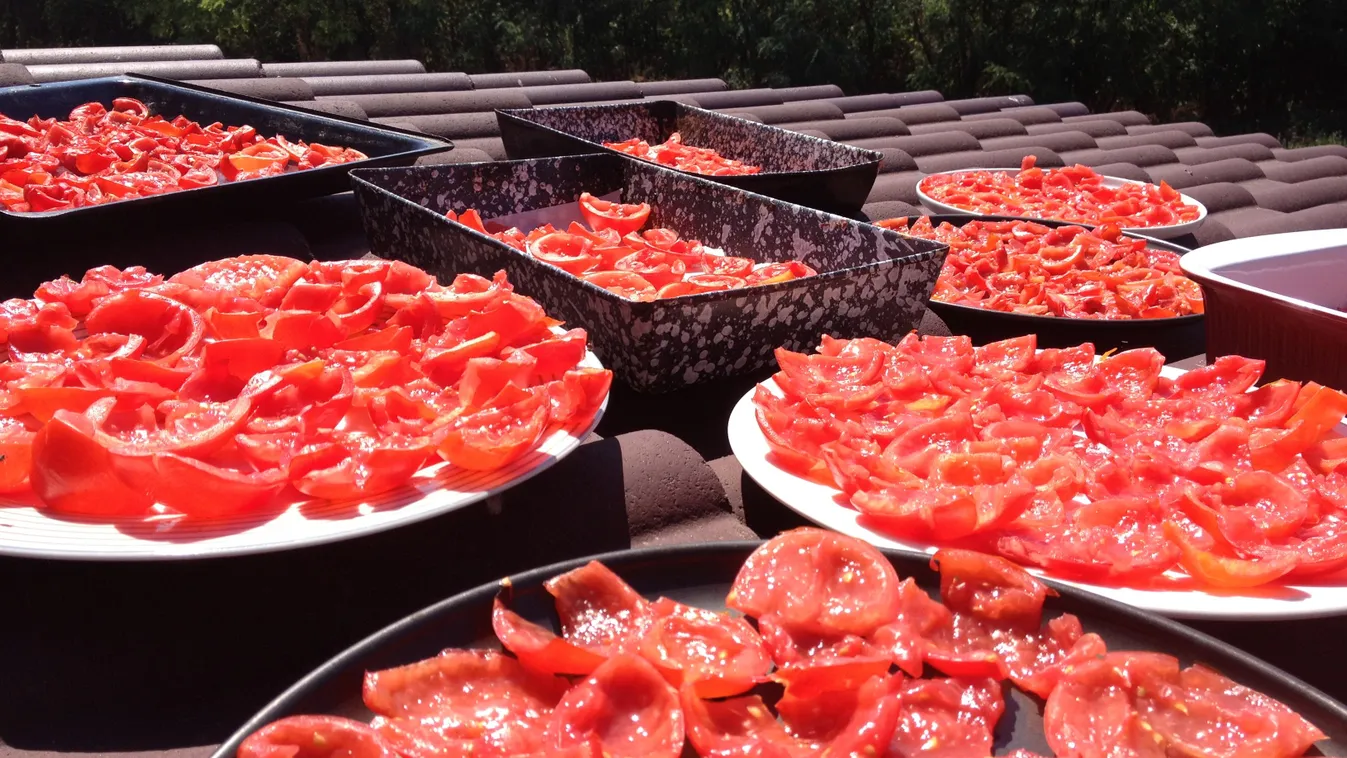 Most tedd fel a tetőre a paradicsomot!