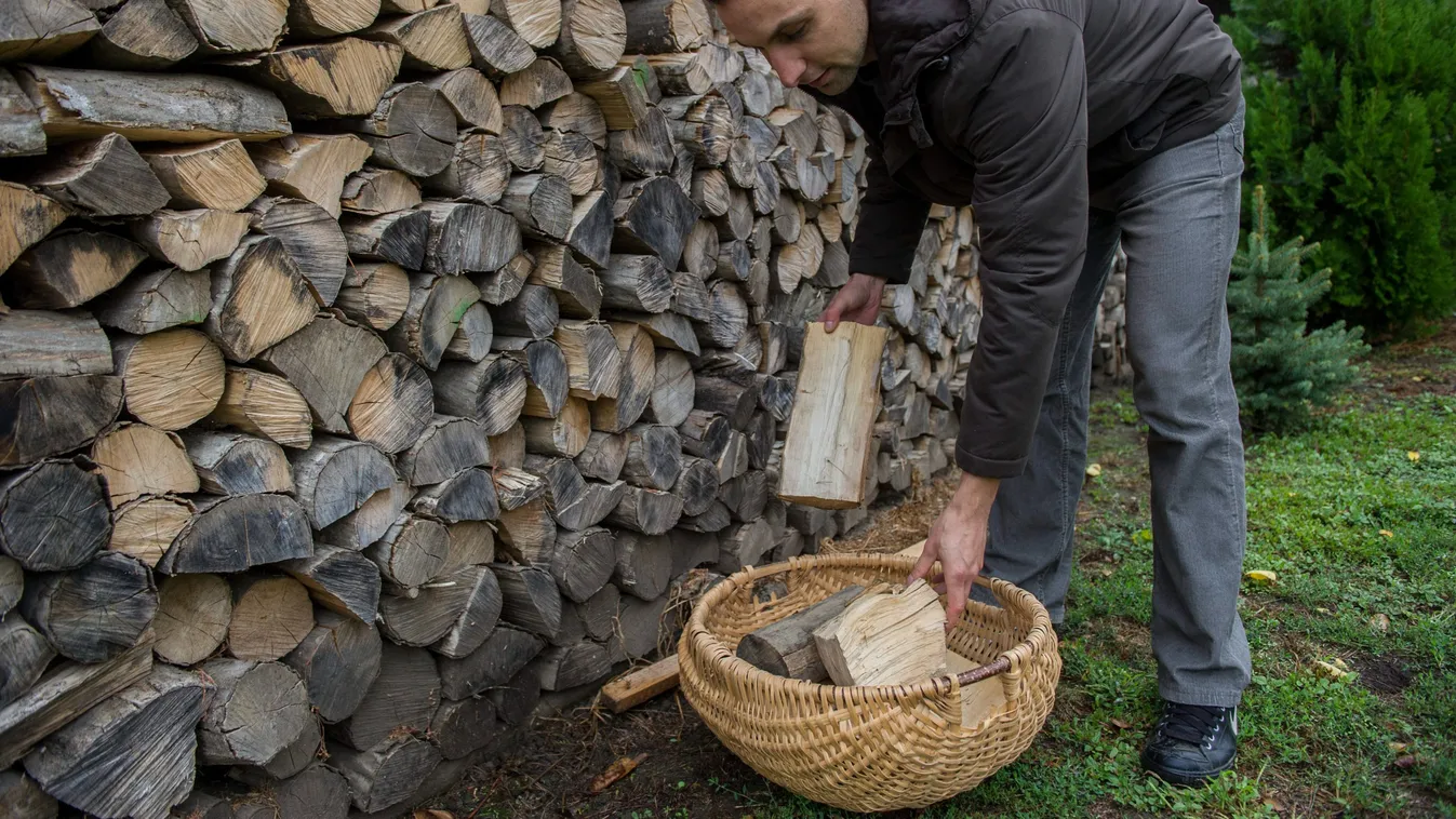 Így tárold a tűzifát, ha olcsón akarsz meleget!