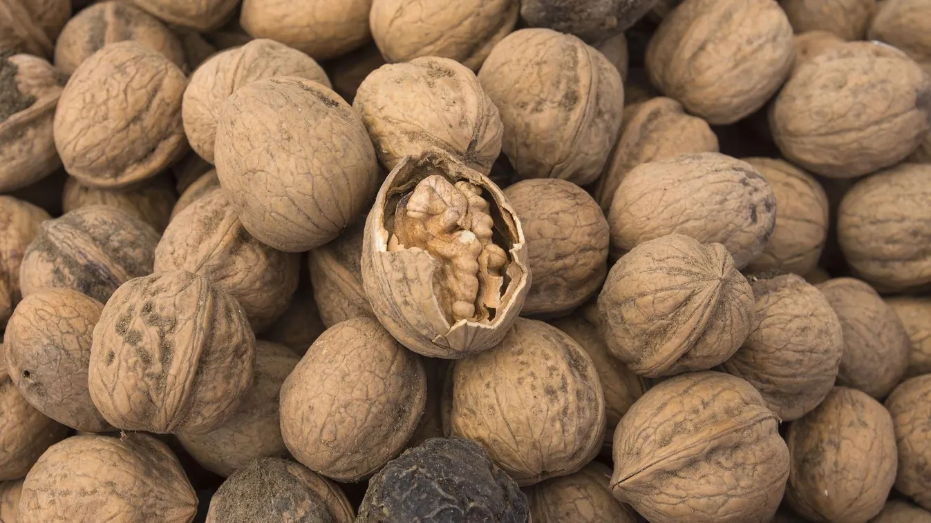 Elképesztő erővel véd a dió, együnk többet belőle!