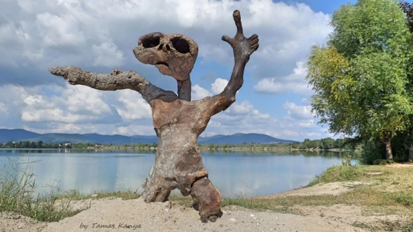 Kánya Tamás különös alkotásai lepték el a fővárost