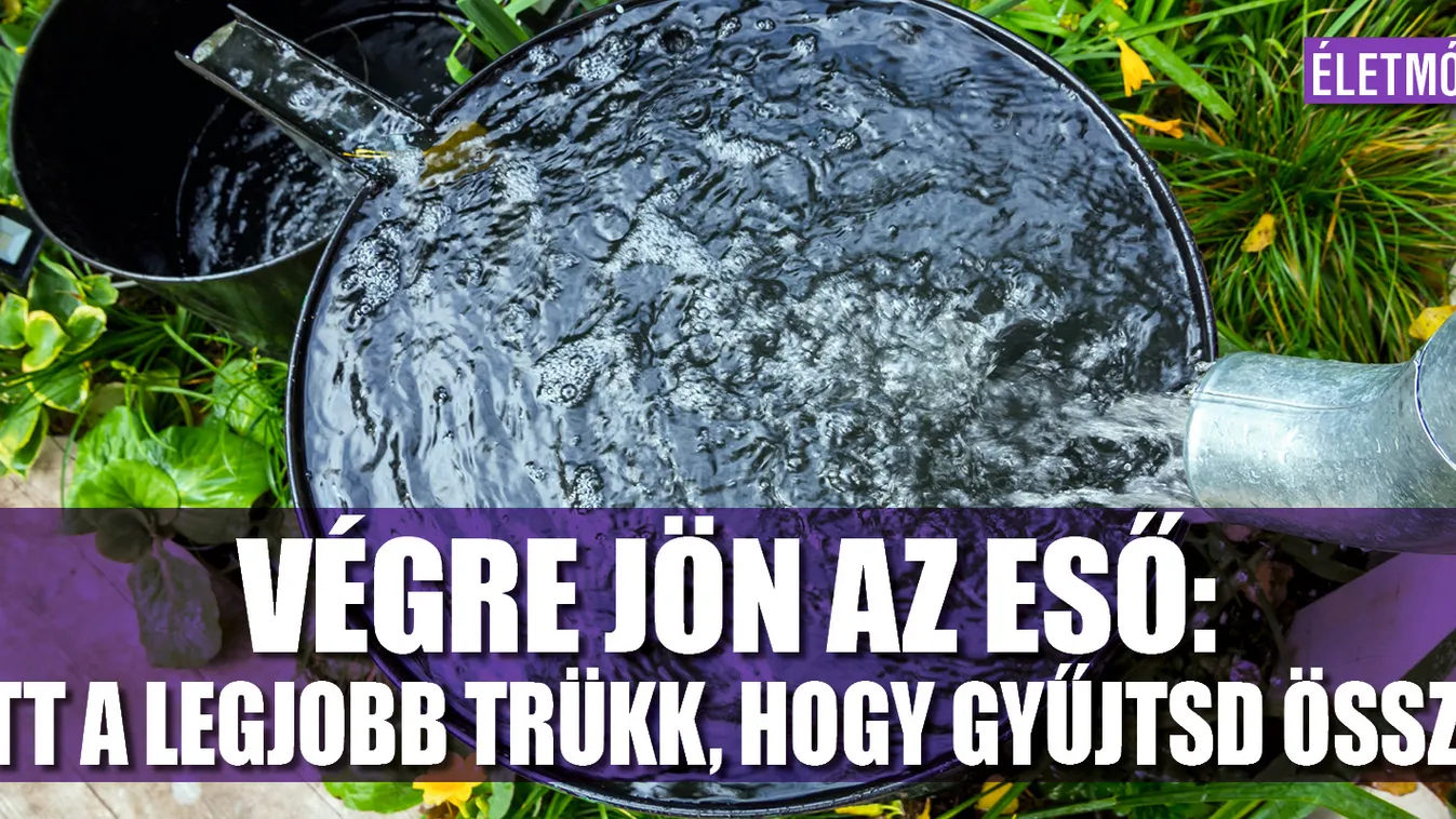 Végre jön az eső: itt a legjobb trükk, hogy gyűjtsd össze