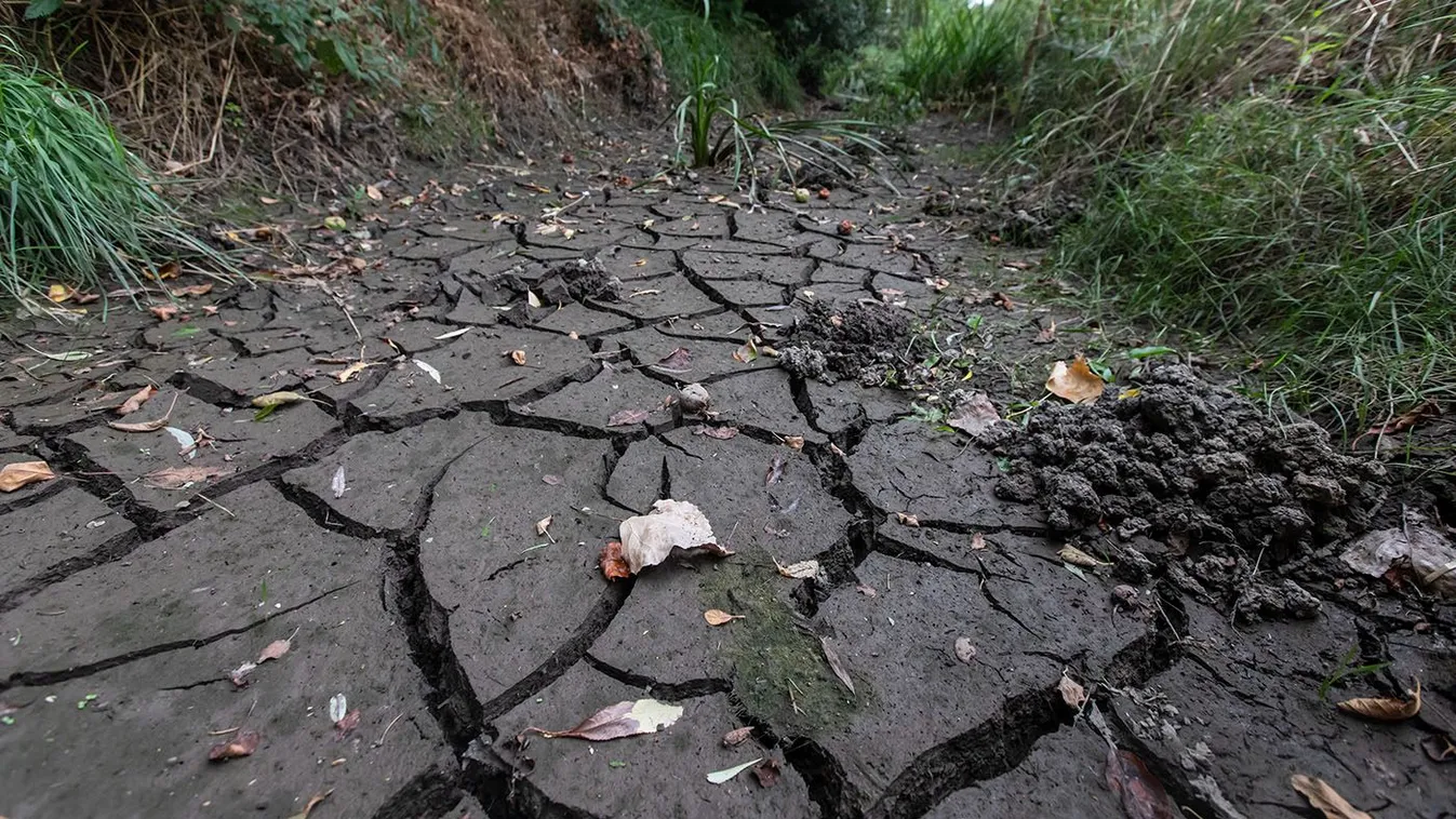 Aszály: eltűnt a patak, így néz ki a Margit-sziget – Videó
