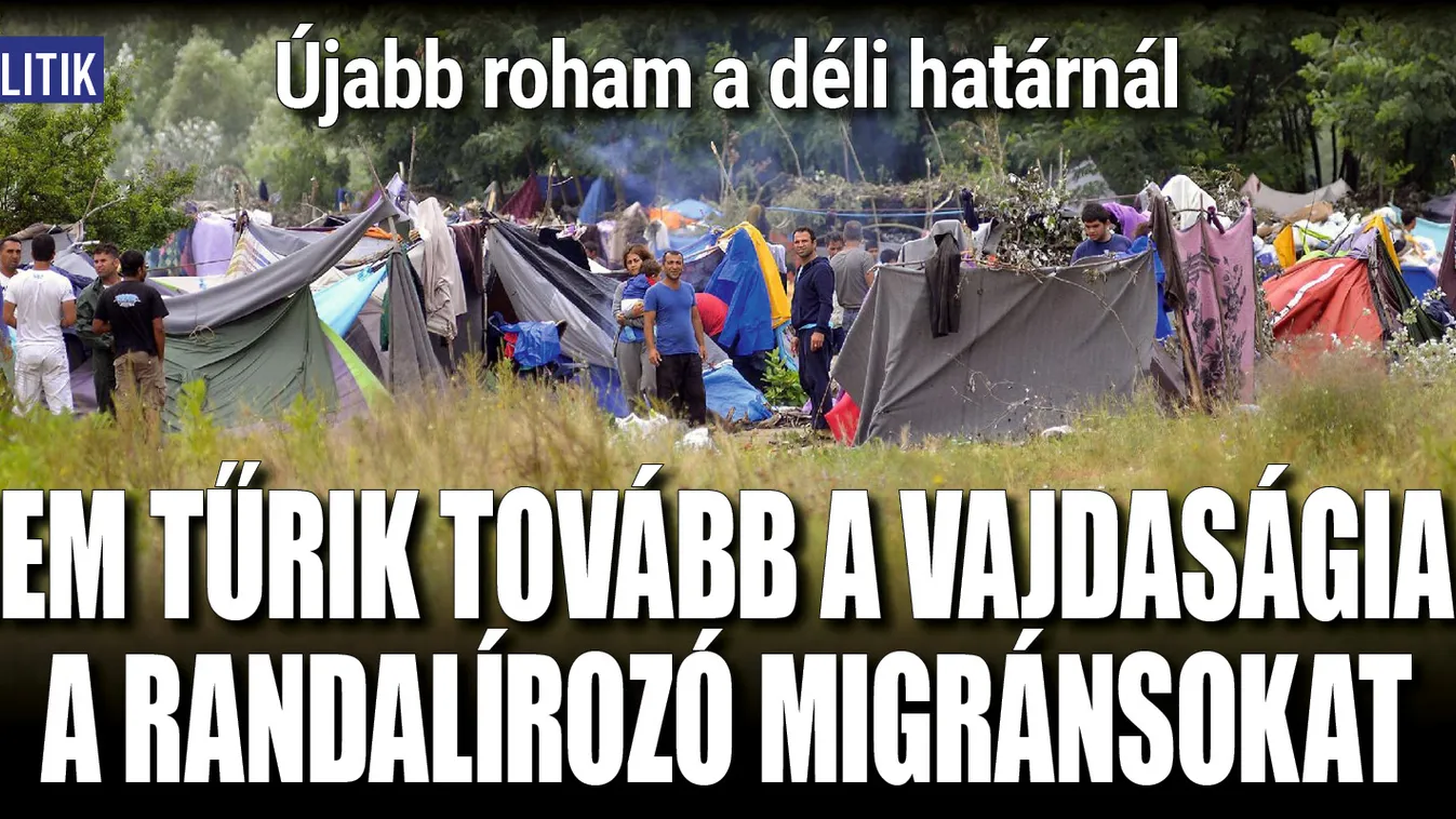Nem tűrik tovább a vajdaságiak a randalírozó migránsokat!