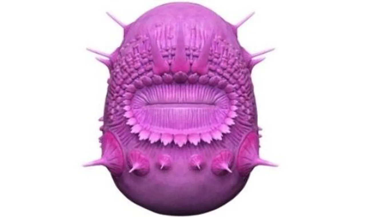 Megoldották az ánusz nélküli őslény rejtélyét