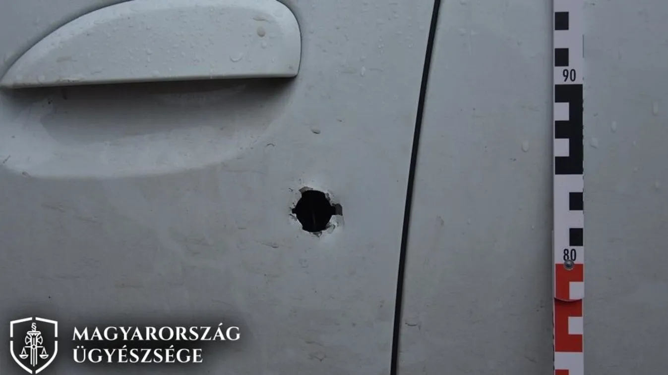 Meglopta szüleit és még a házukat is fel akarta gyújtani