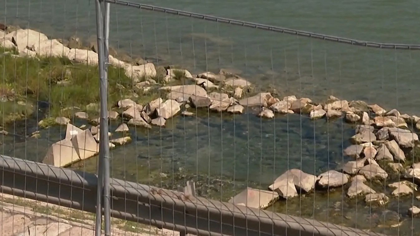 A Szabadság hídnál kényeztette egymást két nő – Videó