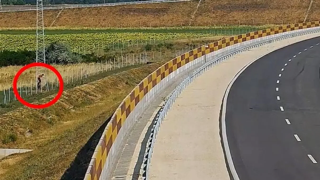 Rémisztő, mit rögzített a Magyar Közút  kamerája - Videó