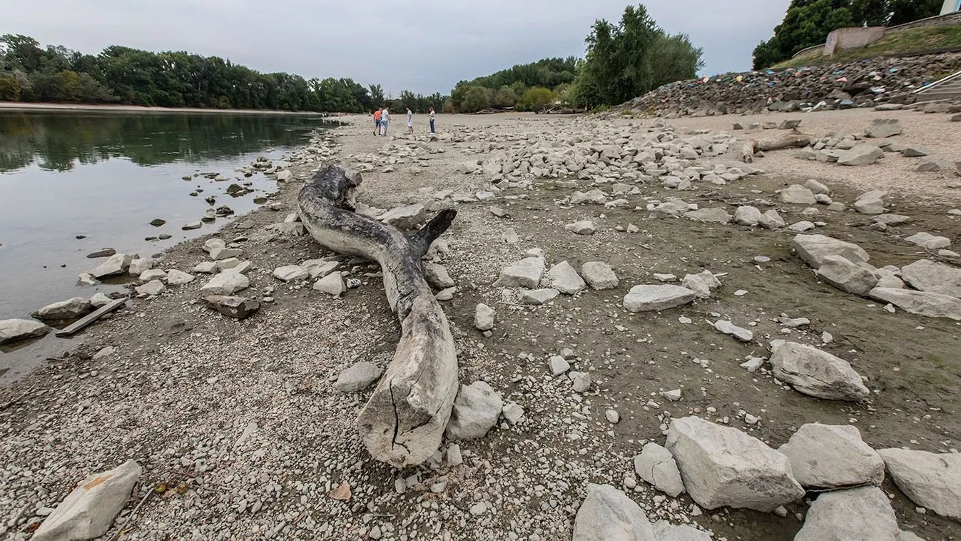 Döbbenet: a Dunába lökte menyasszonyát a 16 éves magyar fiú