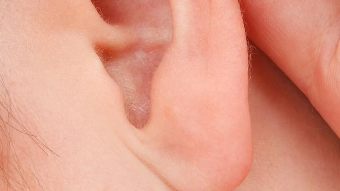 Horror: részeg prostituált harapta le az 55 éves férfi fülét