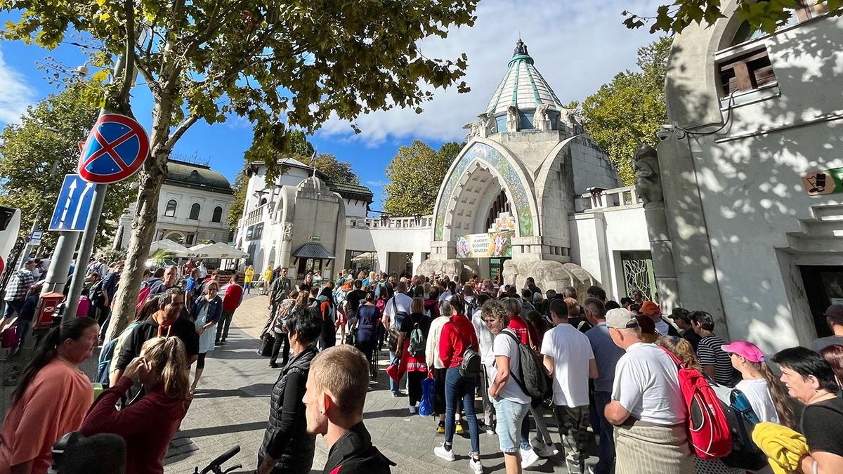 Felejthetetlen élményben volt része több ezer sérült gyermeknek