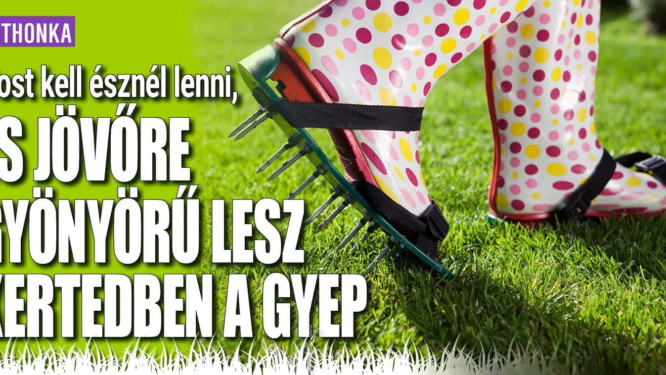 Most kell észnél lenni, és jövőre gyönyörű lesz a kertedben