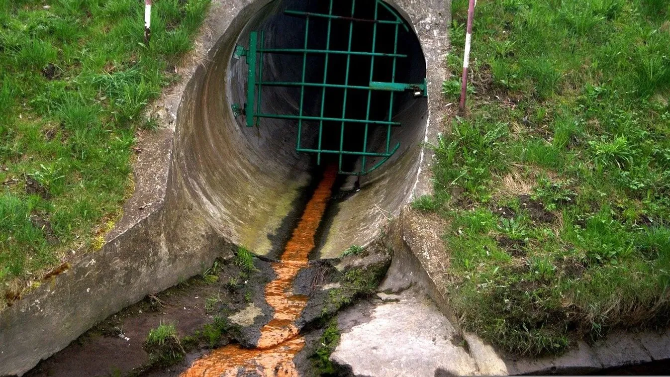 Szennyvíztisztító engedte a szennyvizet a magyar patakba