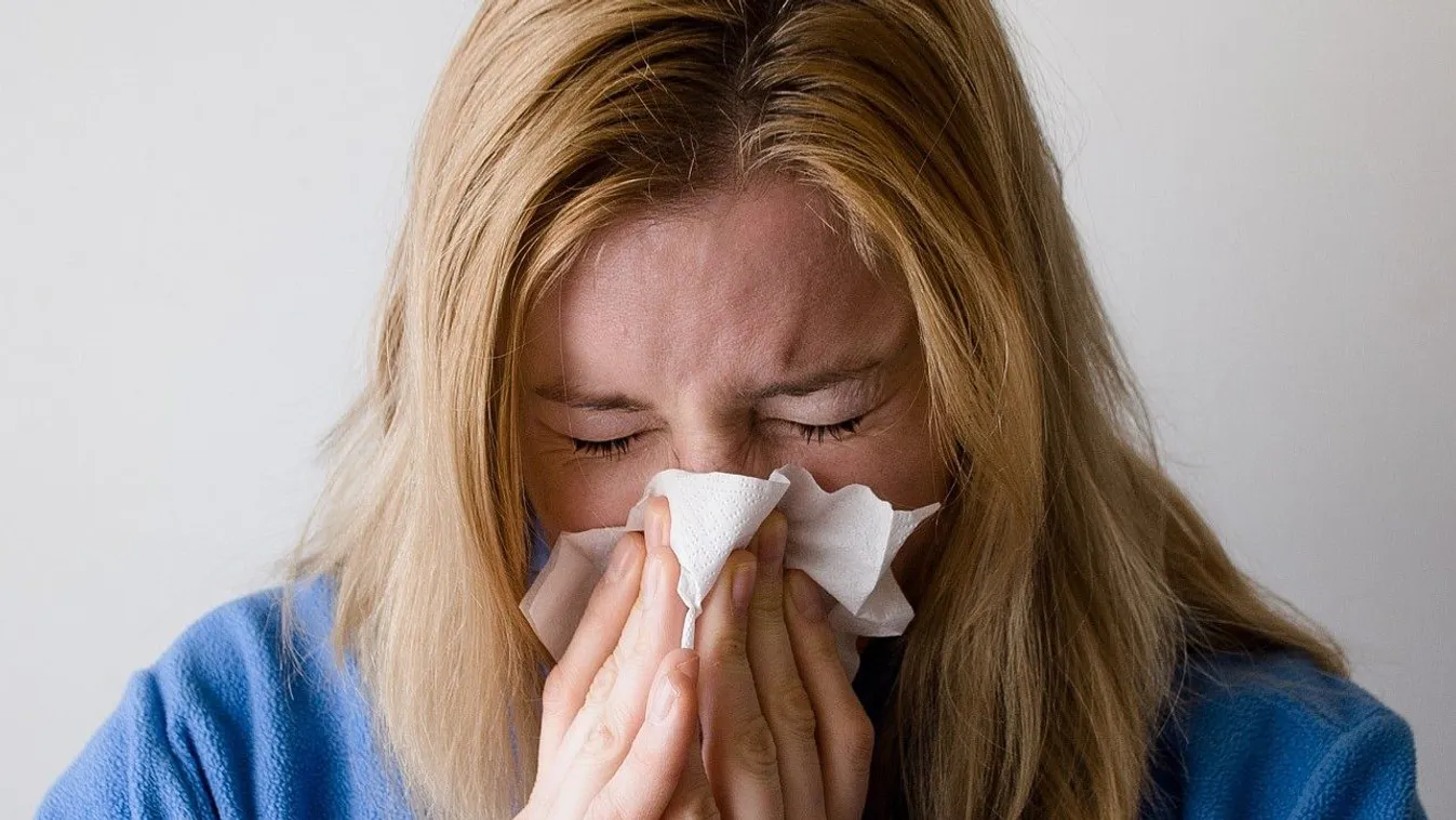 Október végéig nem lélegezhetnek fel a parlagfű-allergiások