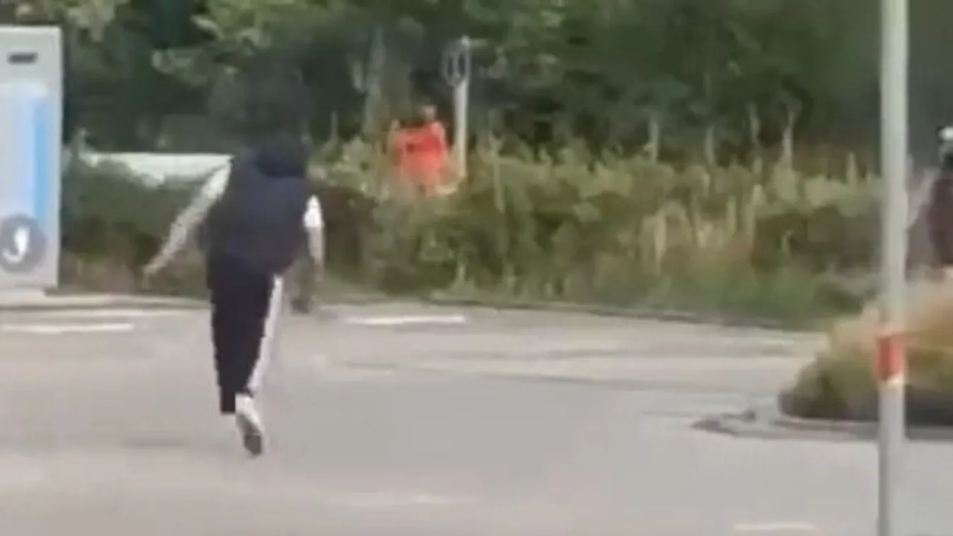 Afgán migráns kezdett késes ámokfutásba a németeknél – Videó