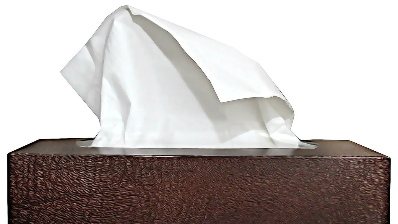 Könnybe lábad a szem: 77 év után találta meg a testvérét