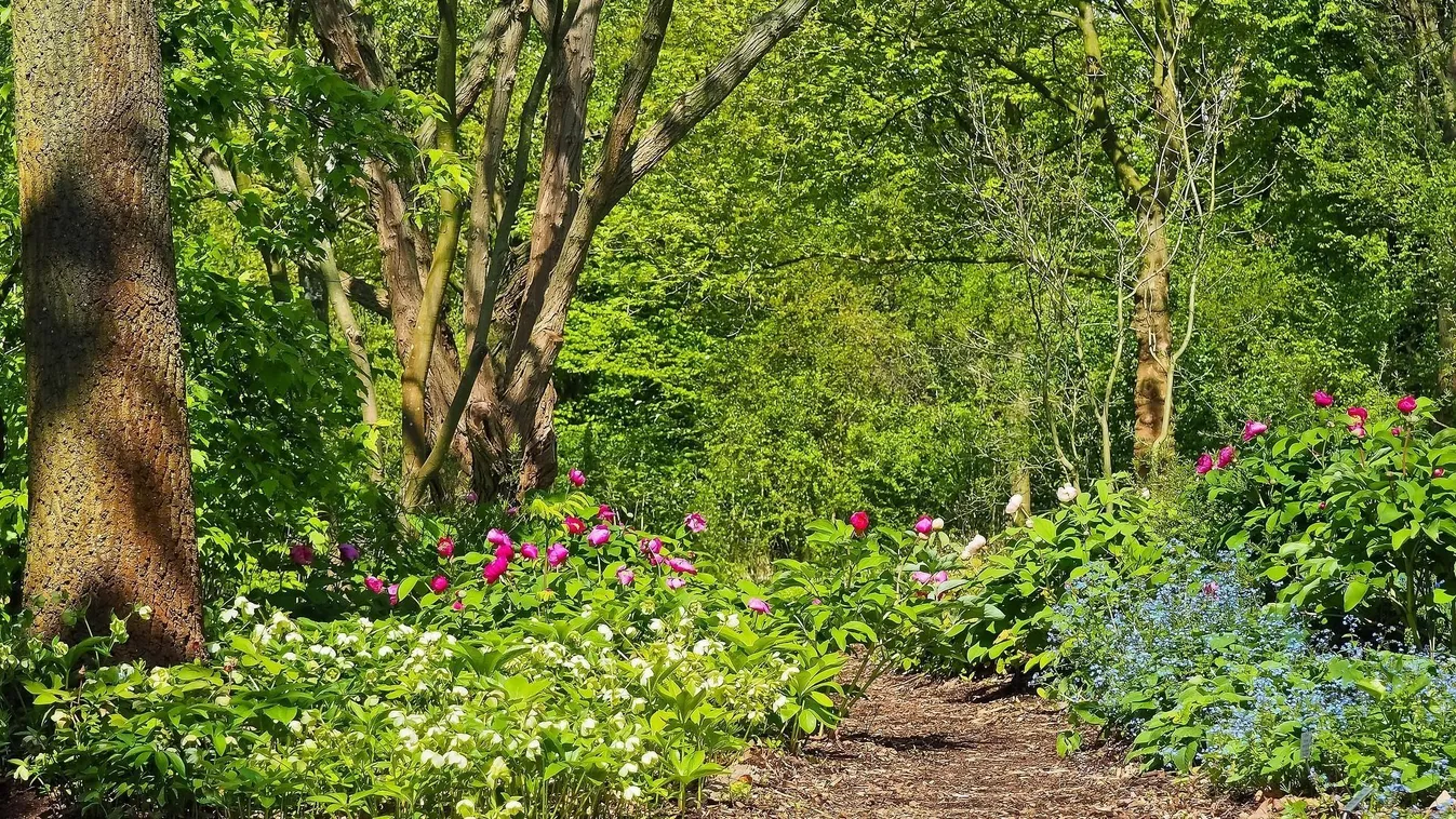 Tizenöt métert zuhant egy férfi Óbudán, ez történt - videó