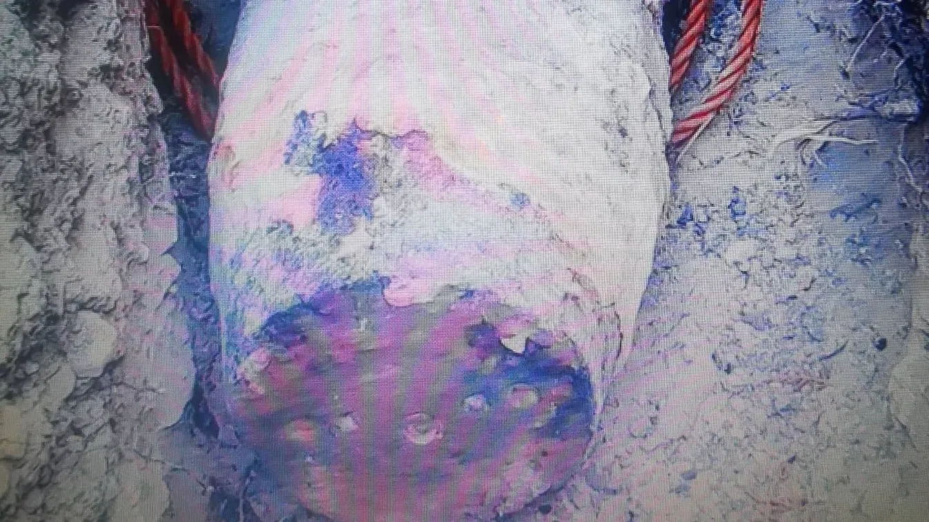 Betonromboló gránátot találtak egy budapesti kertben