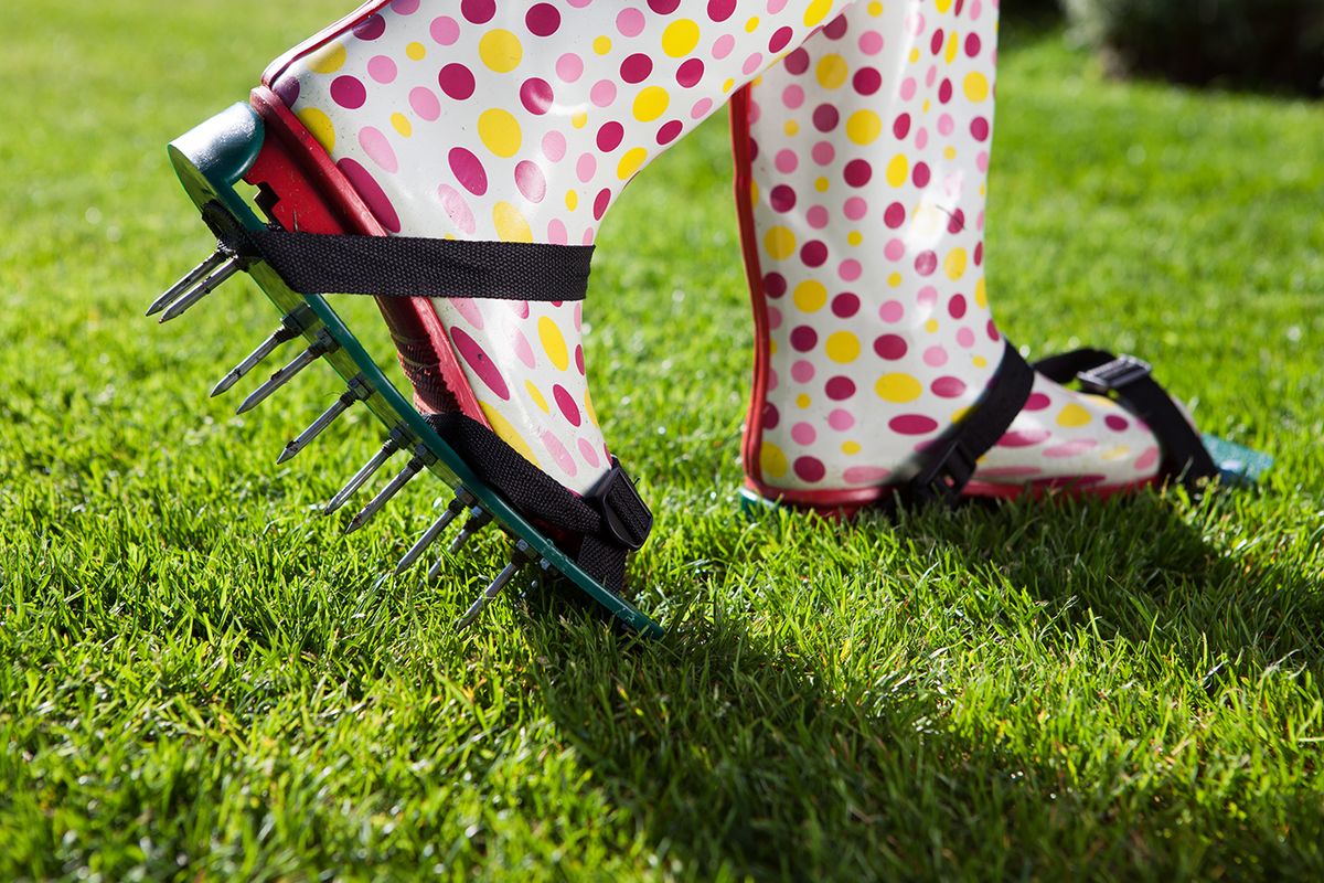 Woman,Wearing,Spiked,Lawn,Revitalizing,Aerating,Shoes,,Gardening,Concept