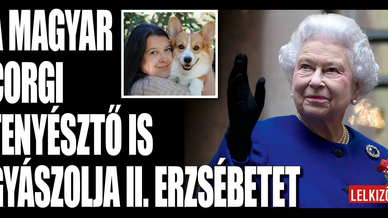 Szomorú, ez lett a sorsa II. Erzsébet imádott kutyáinak