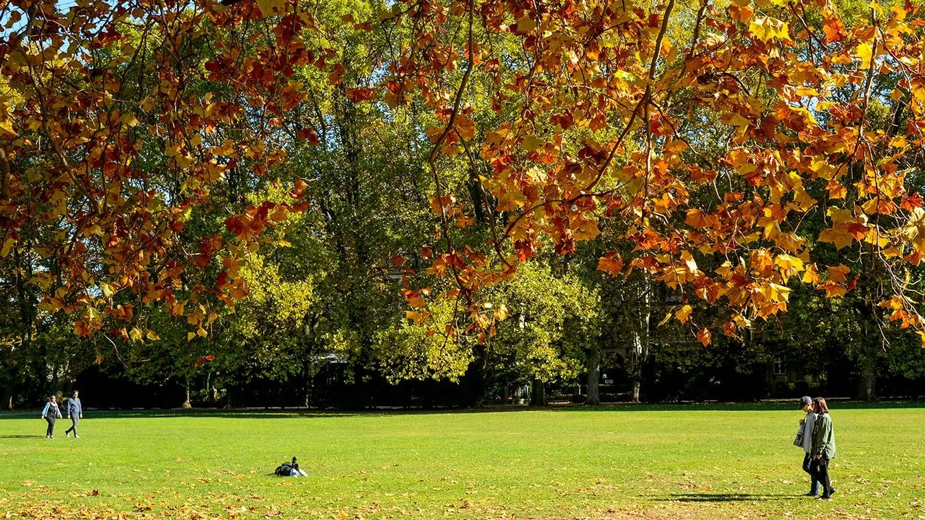 Ekkor tér vissza a jó idő - már nem kell sokat várni