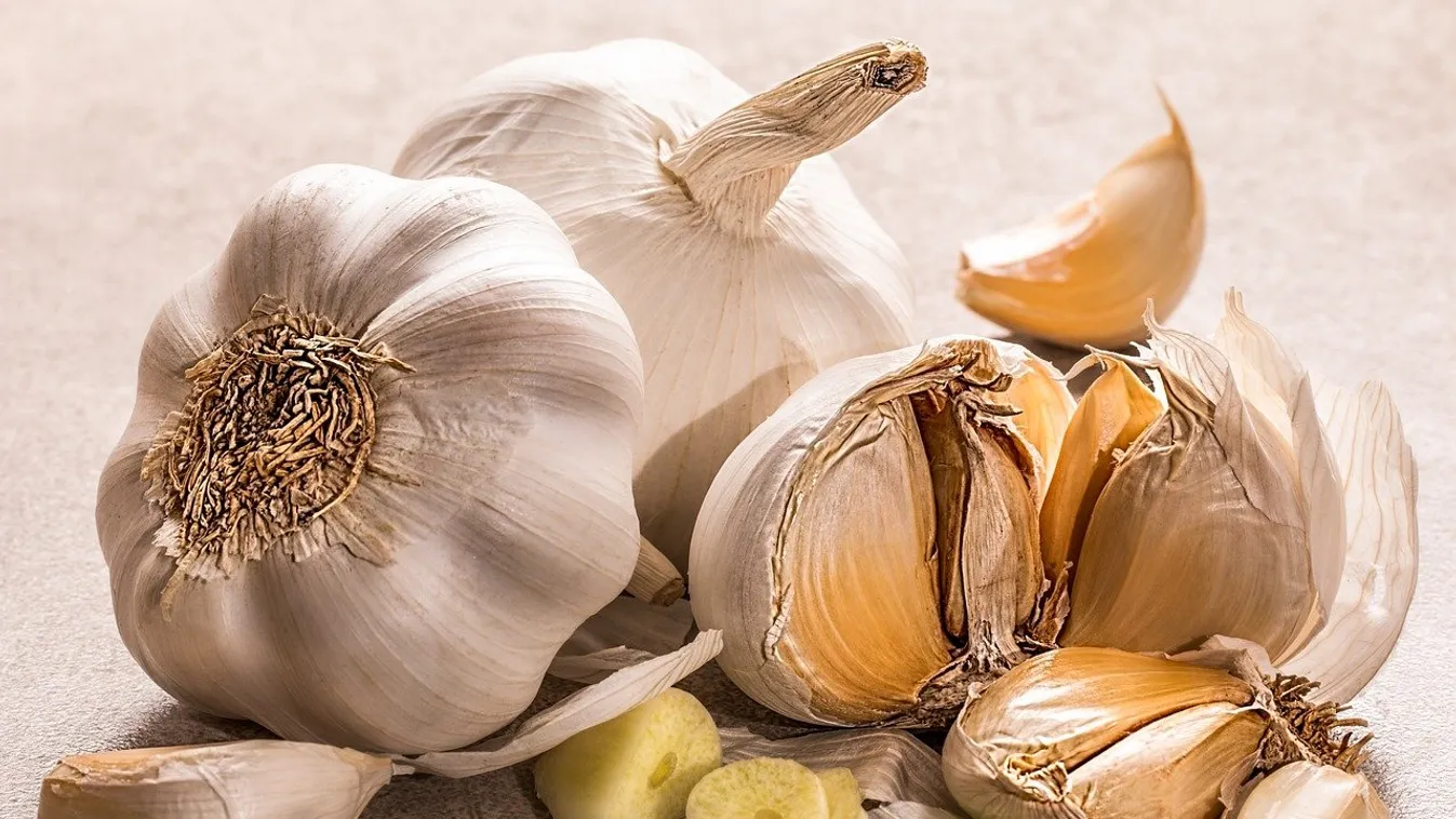 Egyél minél több fokhagymát, élj 120 évig