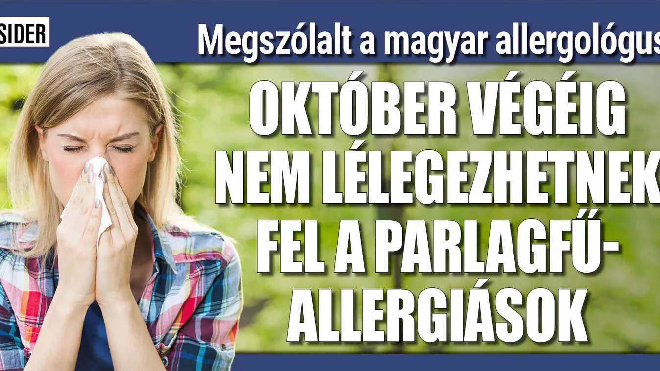 Október végéig nem lélegezhetnek fel a parlagfű-allergiások