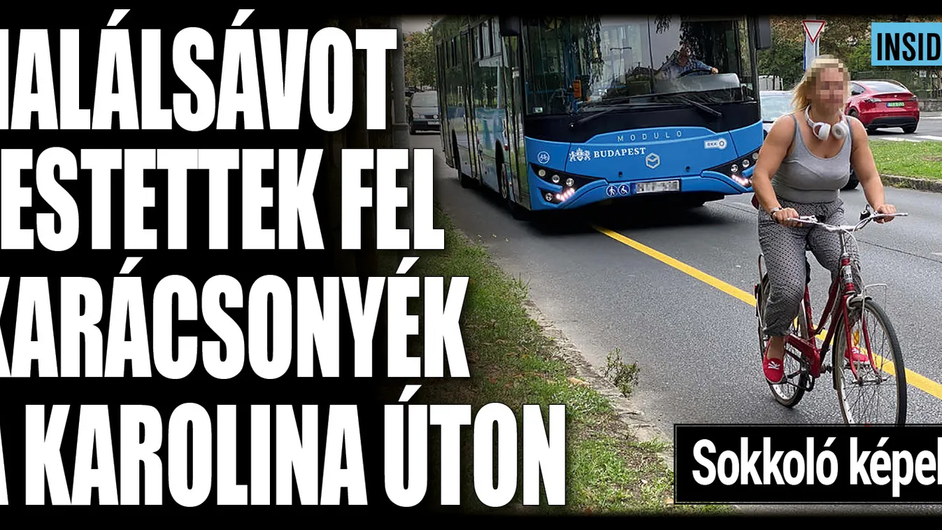 Halálsávot festettek fel Karácsonyék az éjszaka leple alatt