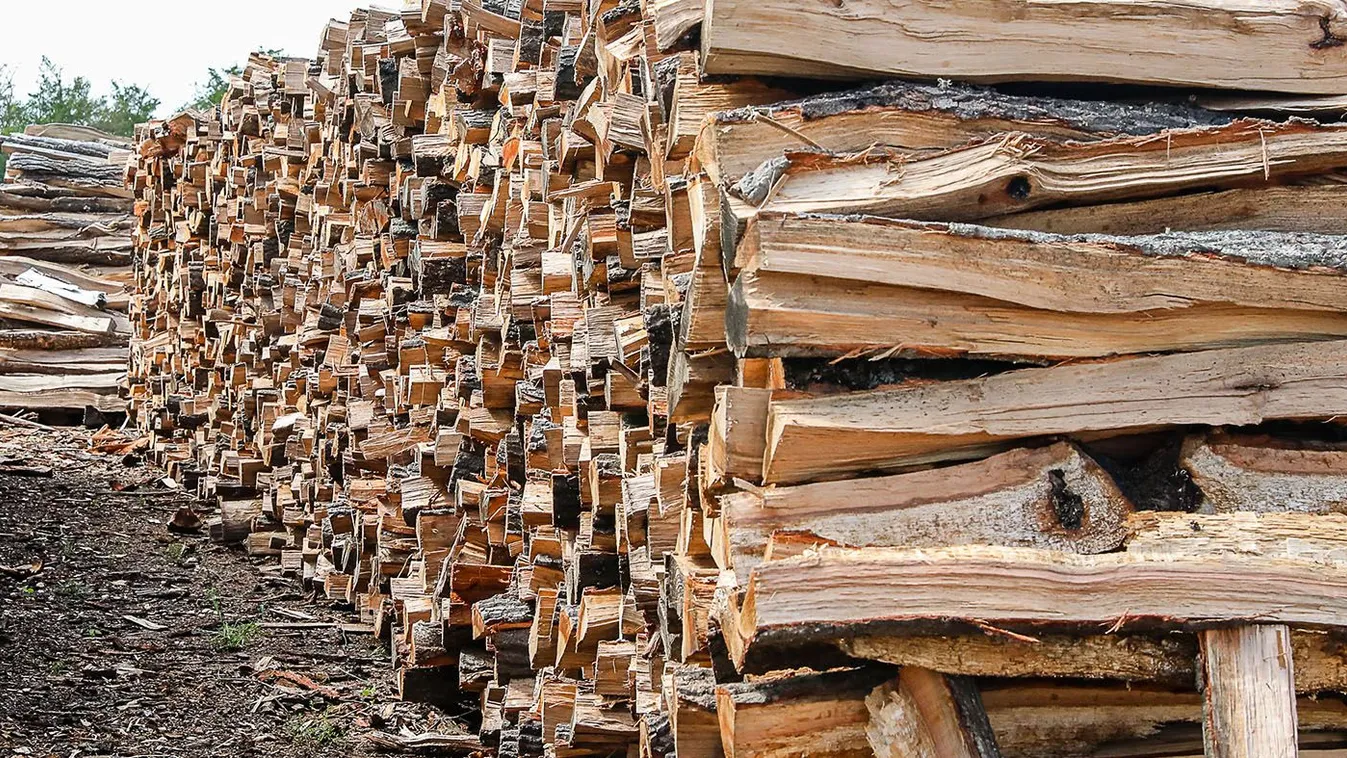 Hol és hogyan rendelhetsz hatósági áras tűzifát?