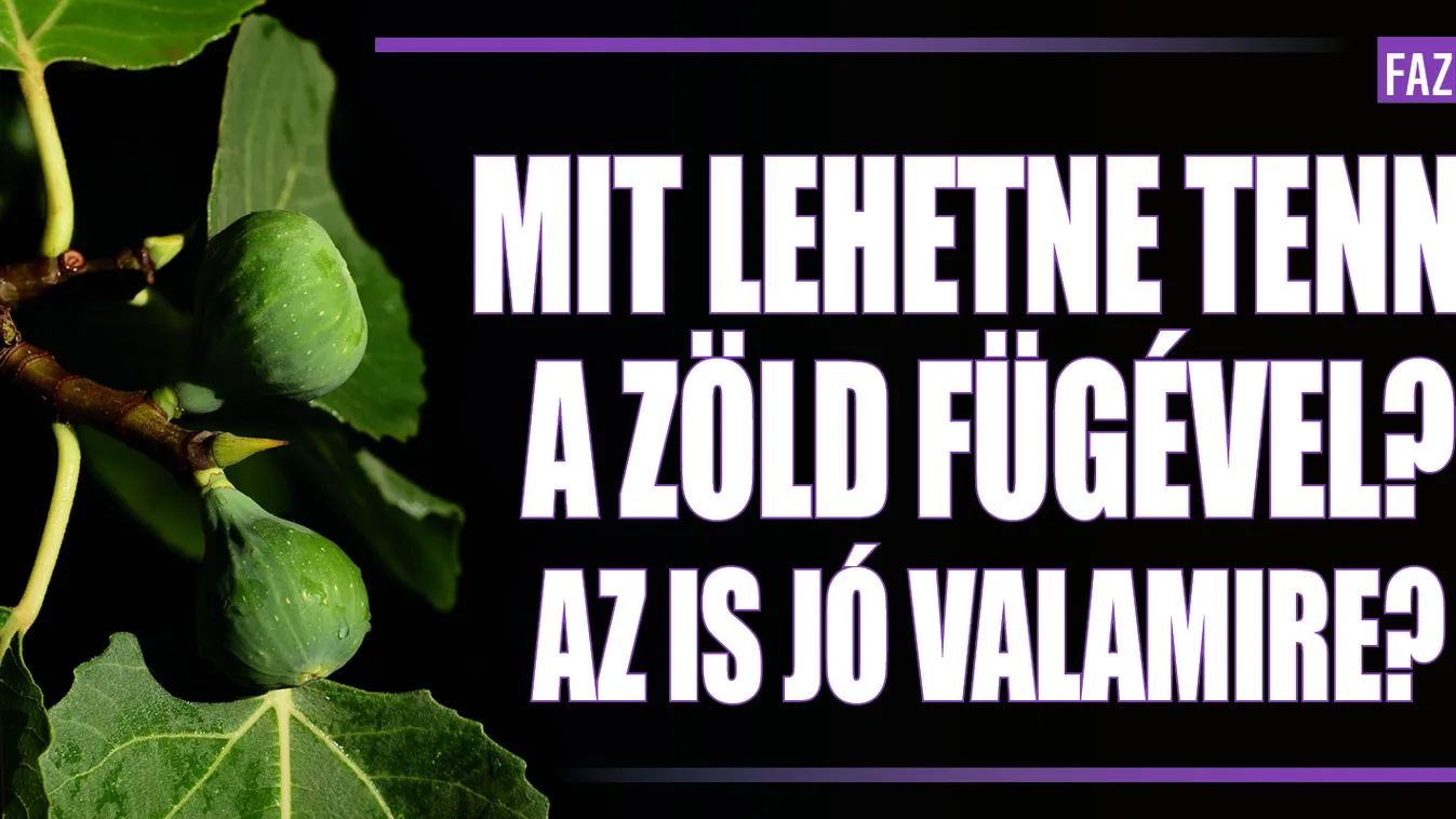 Mit lehetne tenni a zöld fügével? Az is jó valamire?
