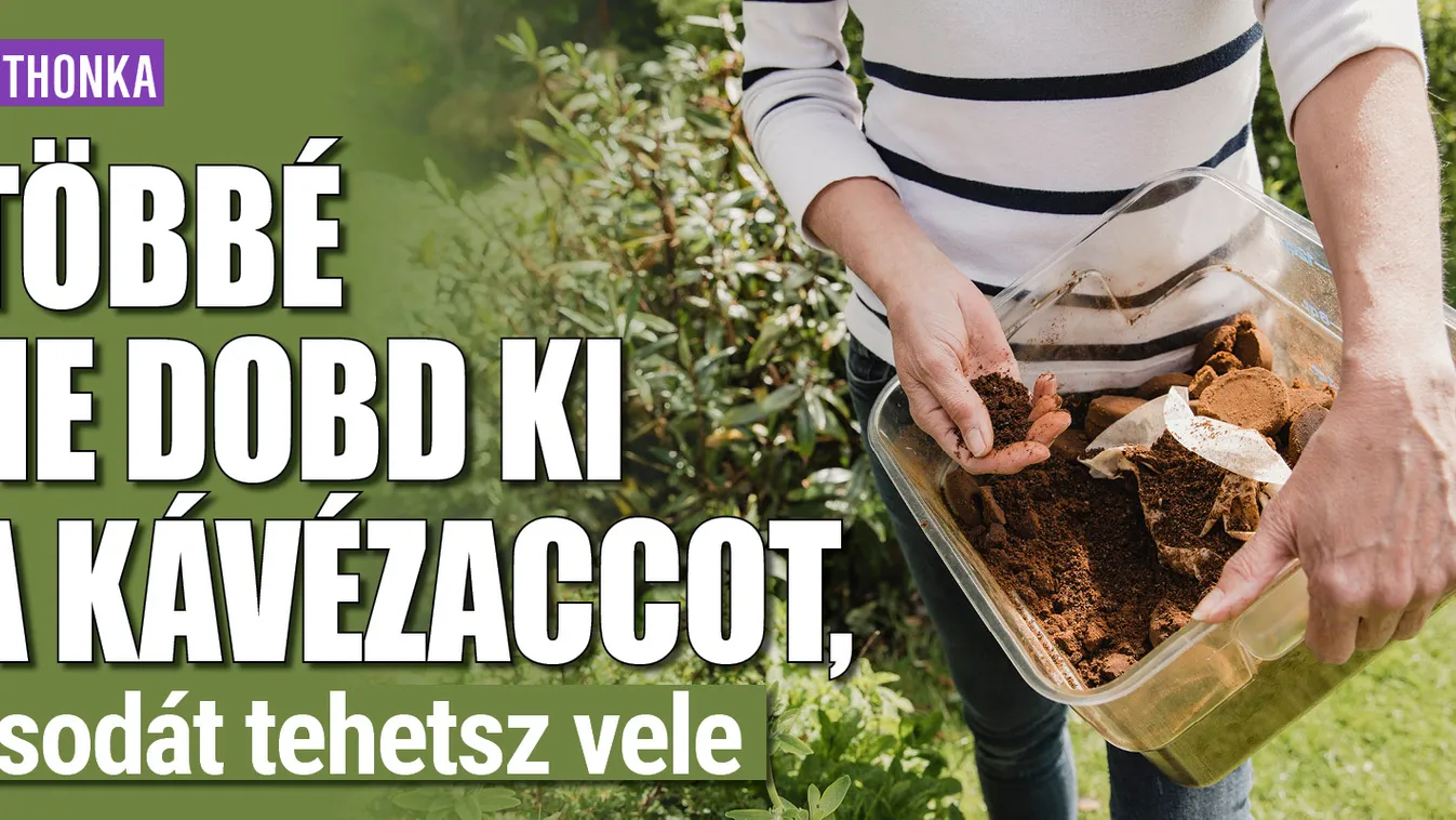 Többé ne dobd ki a kávézaccot, csodát tehetsz vele
