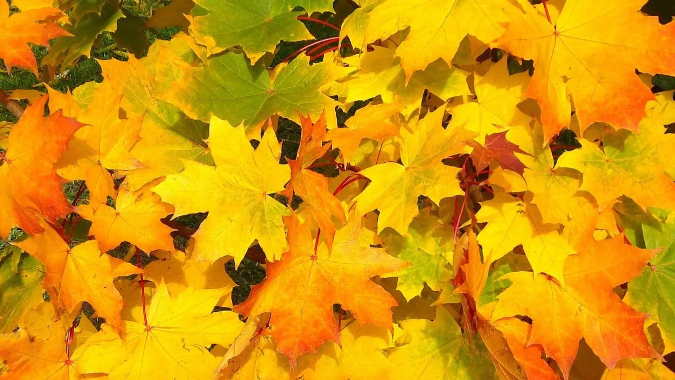 Időjárás: mutatjuk, mire számíthatsz a hosszú hétvégén