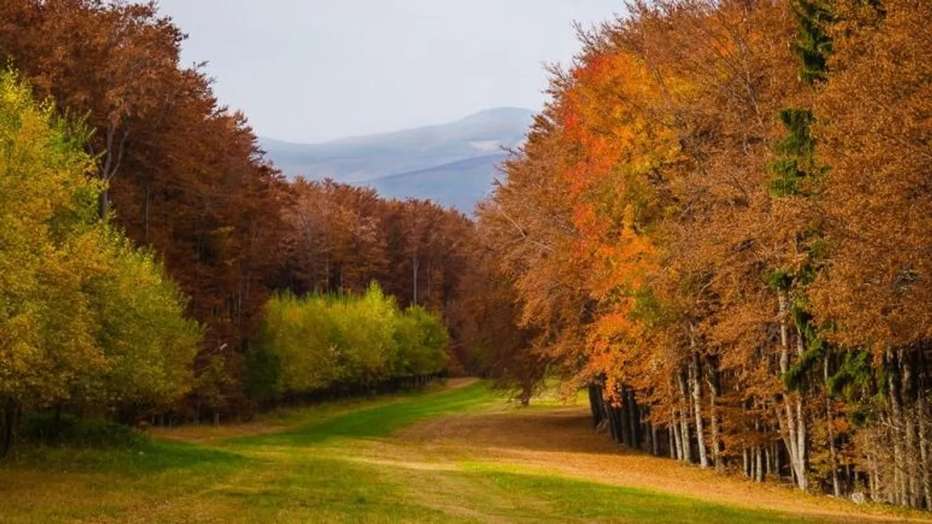 Hajnalonta már érkezik a fagy, de messze még az igazi tél