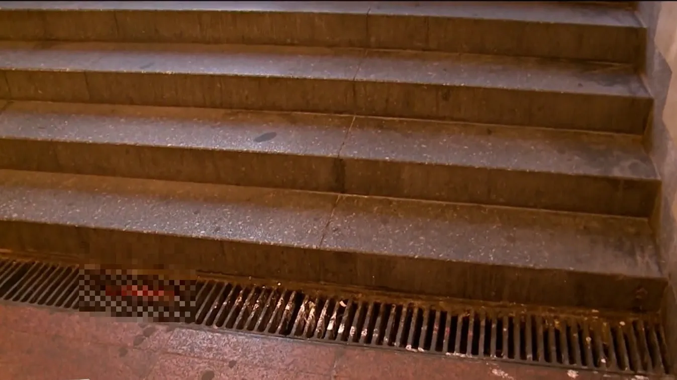 Ezt mondta egy szemtanú a népligeti verekedésről