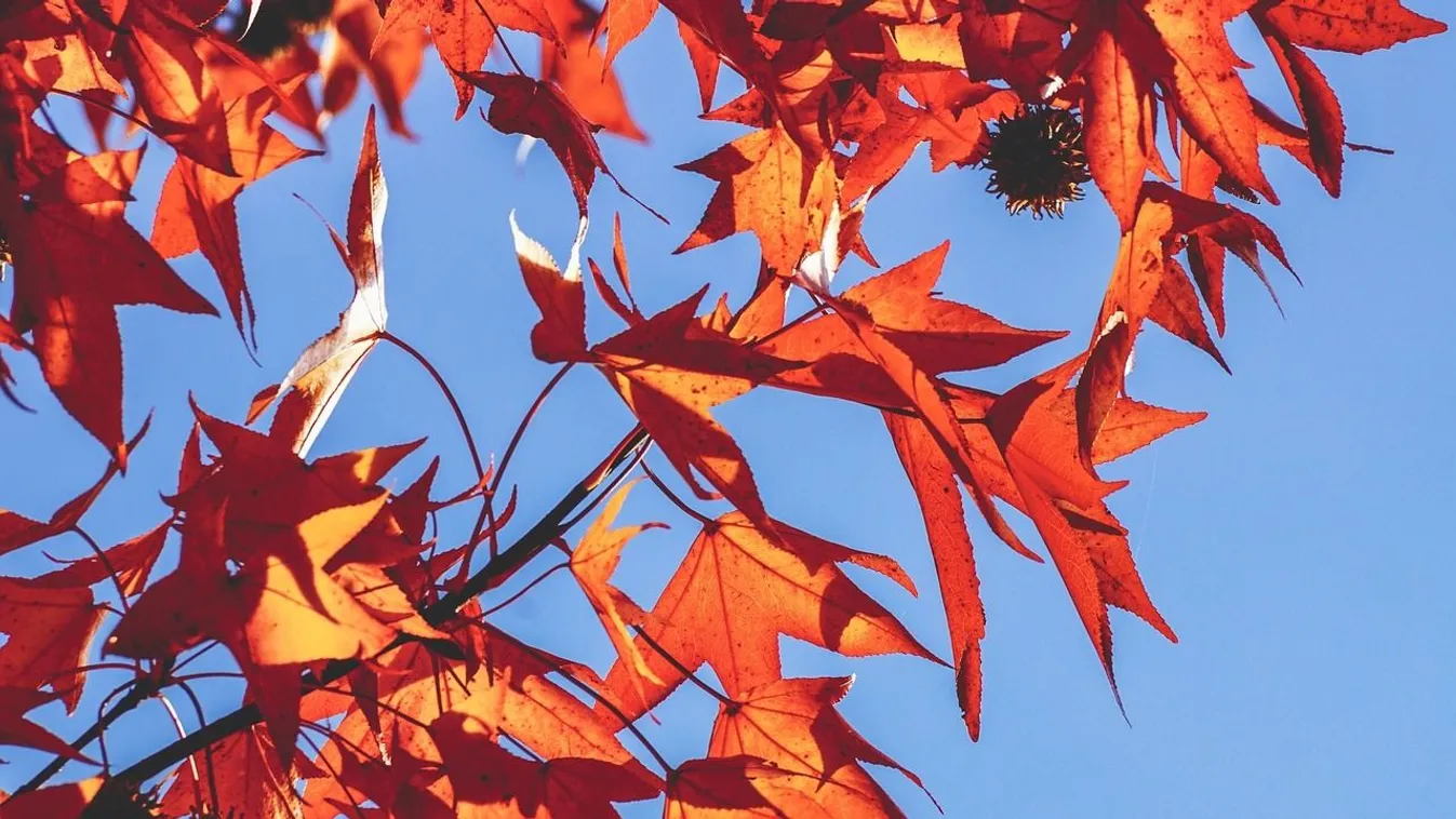 Érkezik a vénasszonyok nyara, ennyit kell még rá várni