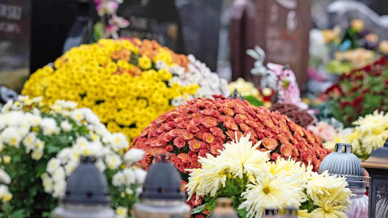 Ezek a virágok maradnak sokáig szépek a temetőben