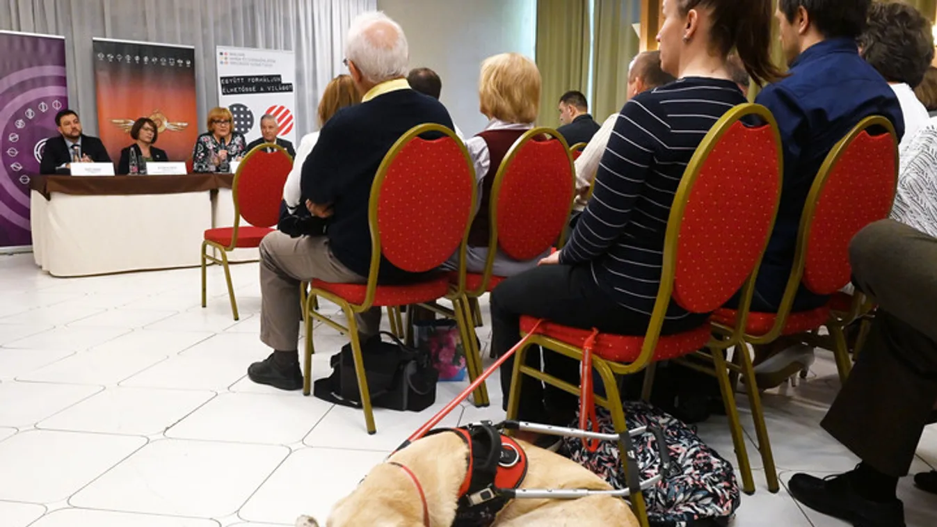 Vakok javára gyűjt idén a közmédia