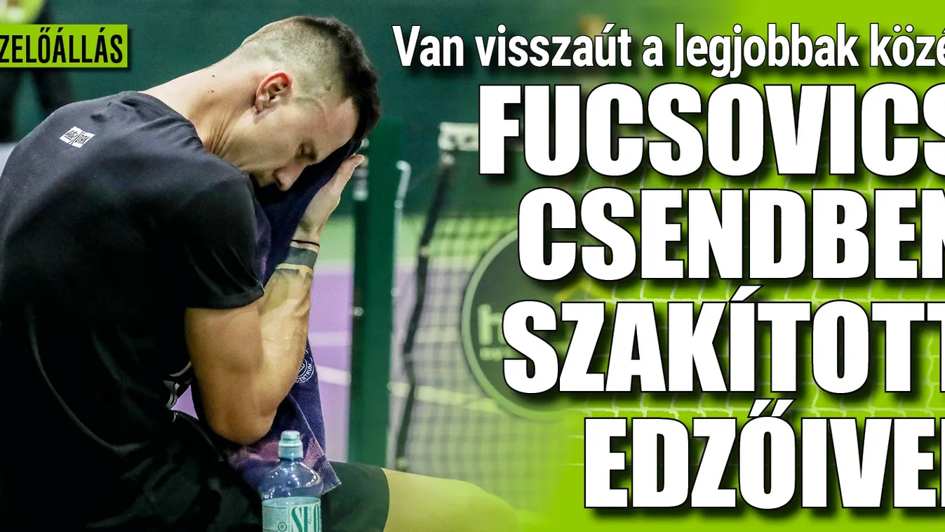 Fucsovics így szakított az edzőivel