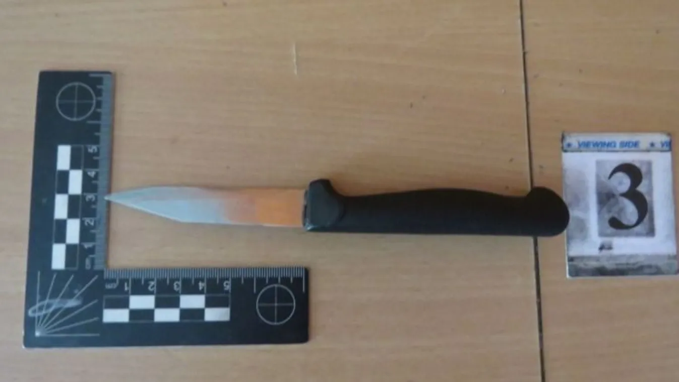 Most jött: megkéselte ismerősét egy keszthelyi férfi