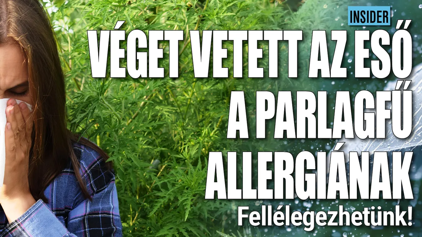 Fellélegezhetnek az allergiások, ez az oka