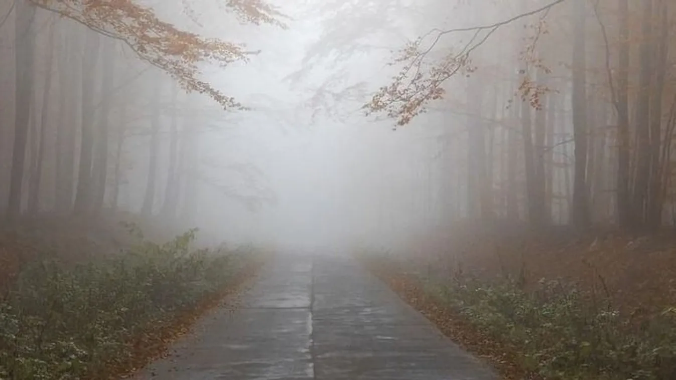 Így tüntesd el a párát a kocsi ablakairól