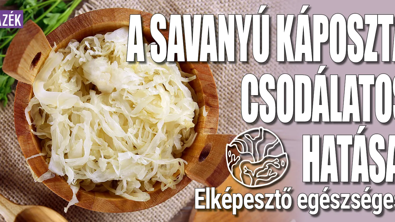 A savanyú káposzta csodálatos hatása: elképesztő egészséges