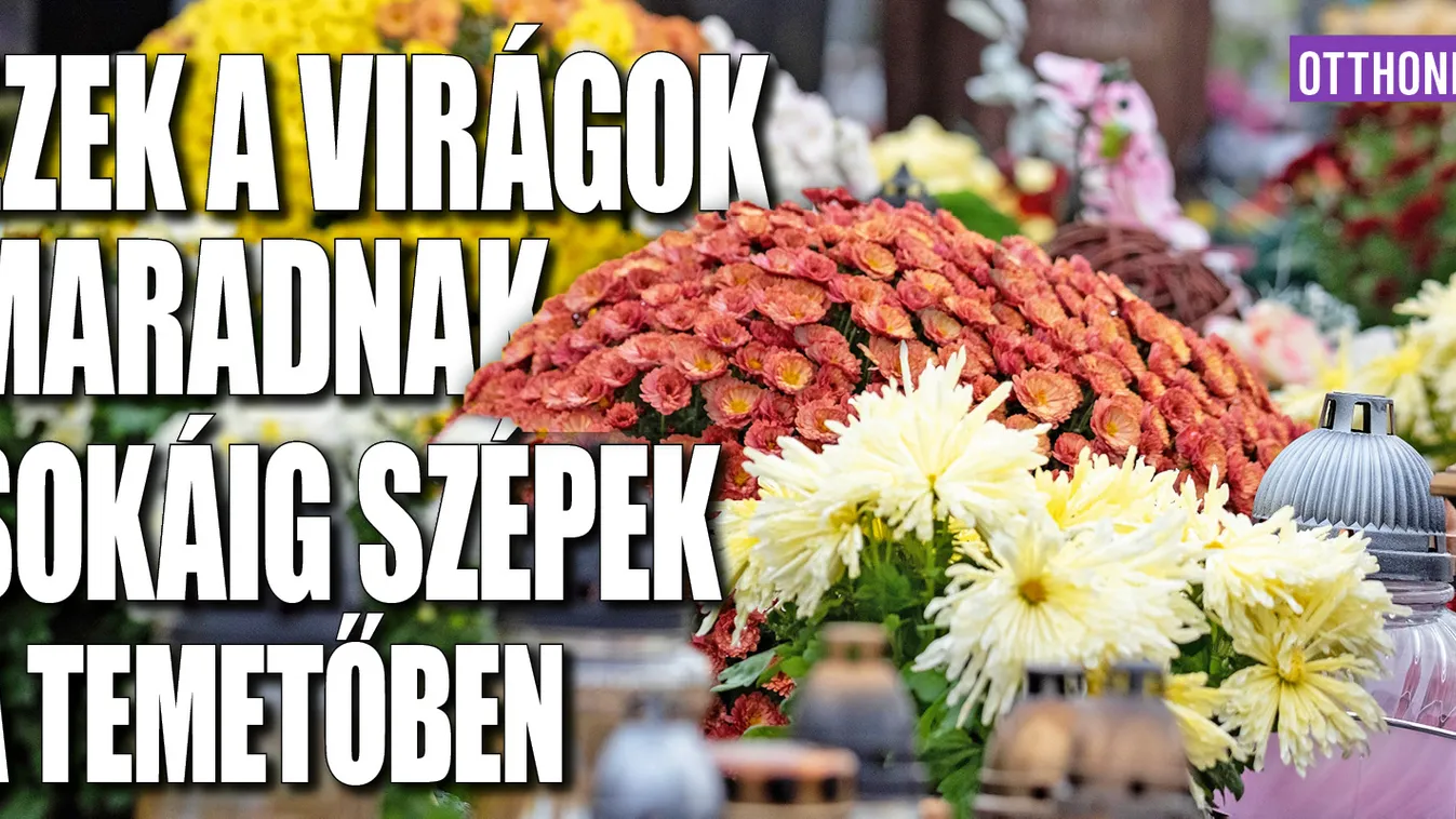 Ezek a virágok maradnak sokáig szépek a temetőben