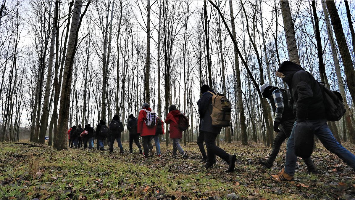 Alapellátás, 40 euró zsebpénz és 500 eruró klímabónusz  jár a migránsoknak, nem csoda, hogy jönnek