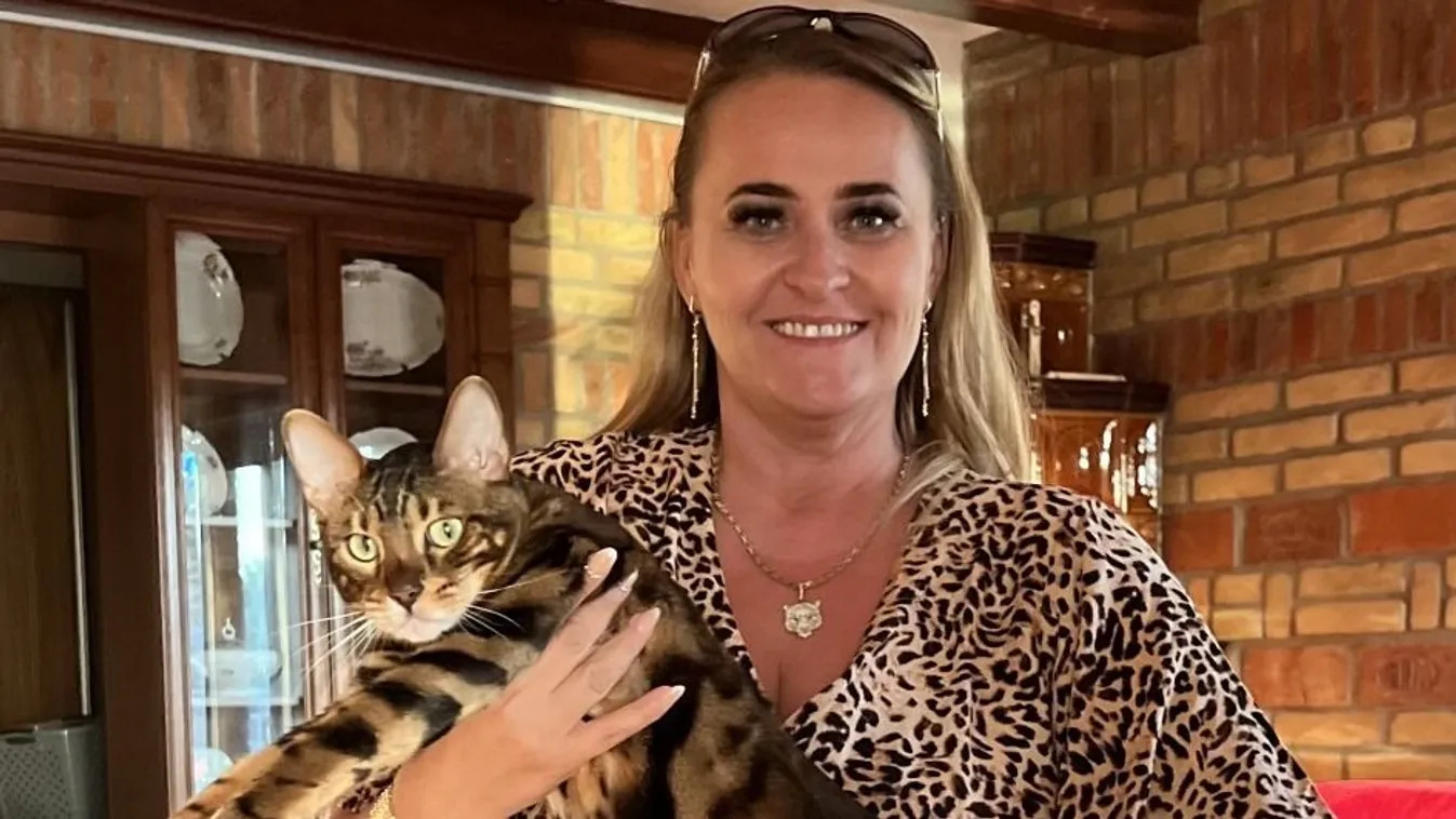 Magyarországon él Spartacus a világ legszebb macskája