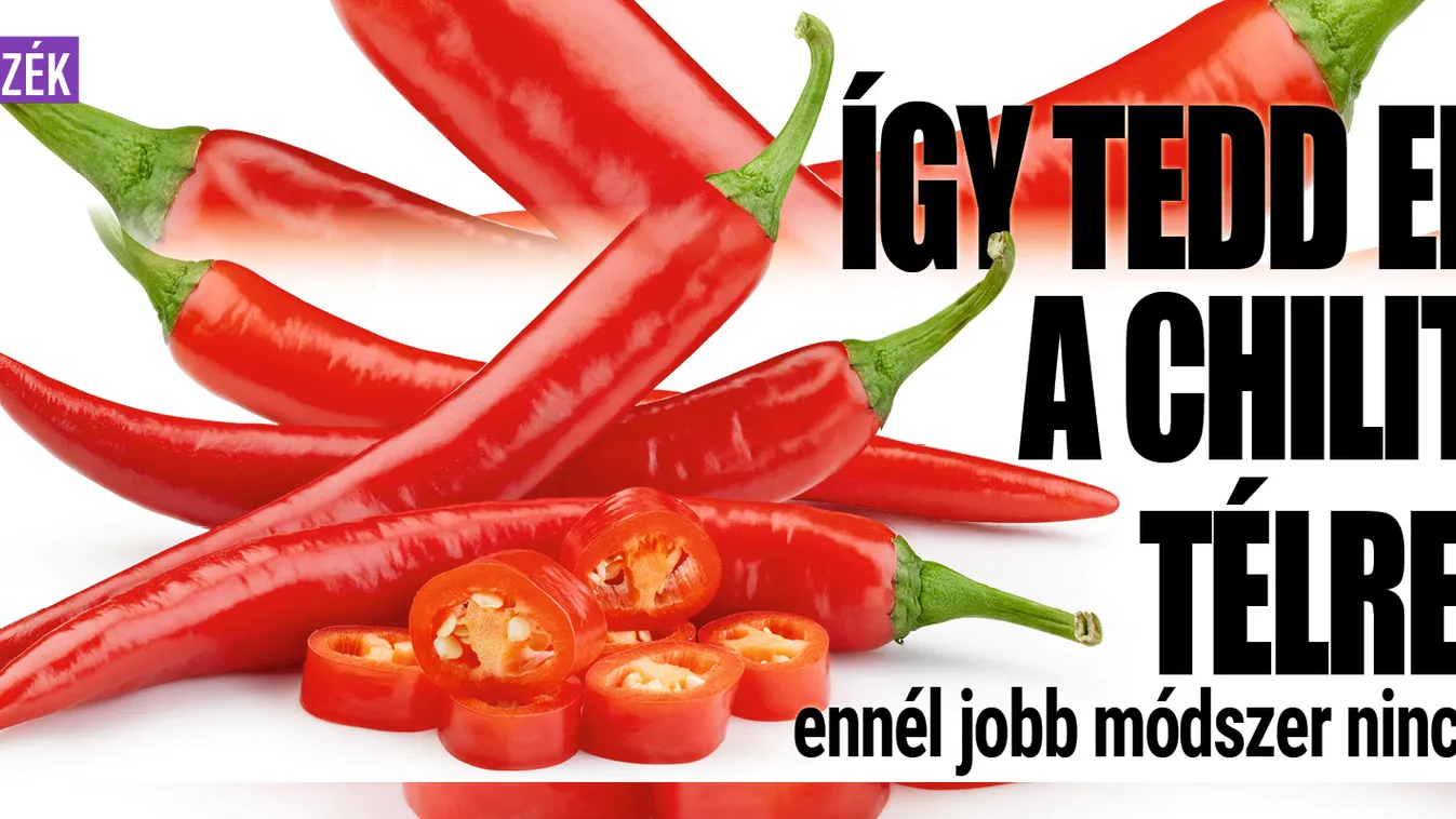 Így tedd el a chilit télre, ennél jobb módszer nincs