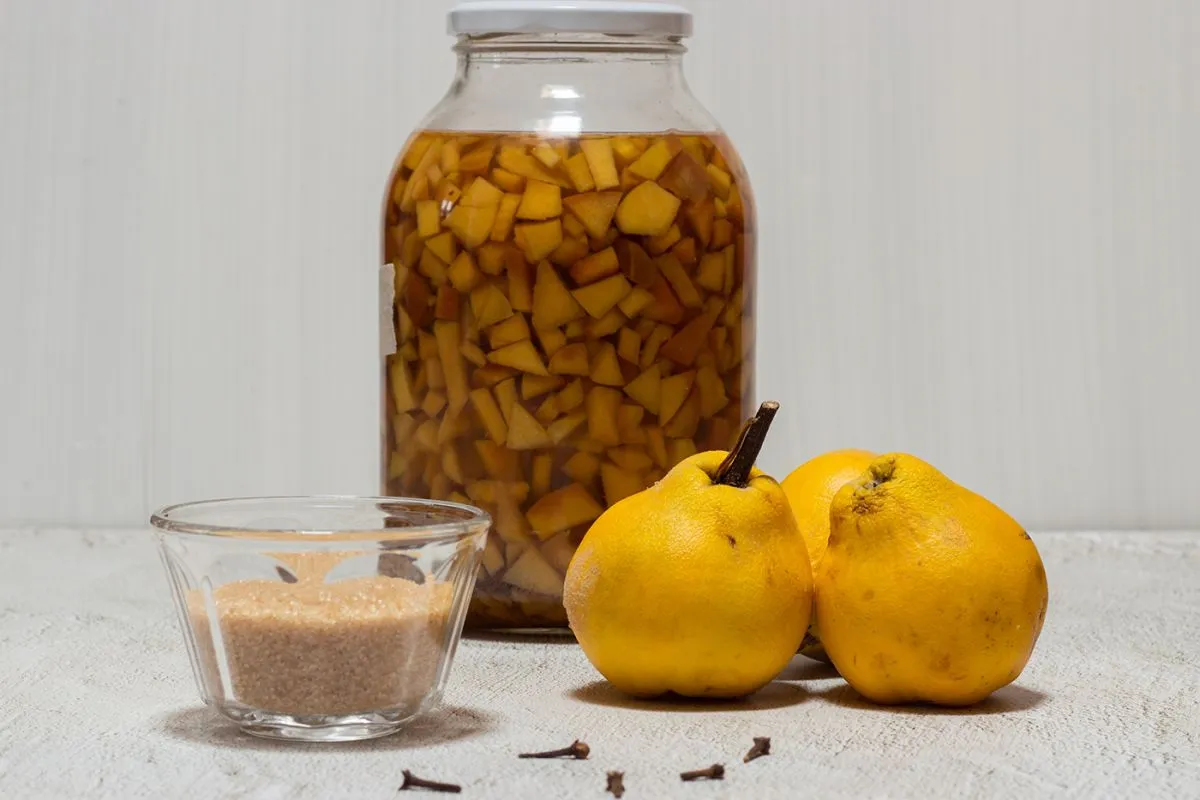 Homemade,Quince,Liqueur.,Maceration,Of,Quinces,In,Water,,Cane,Sugar,