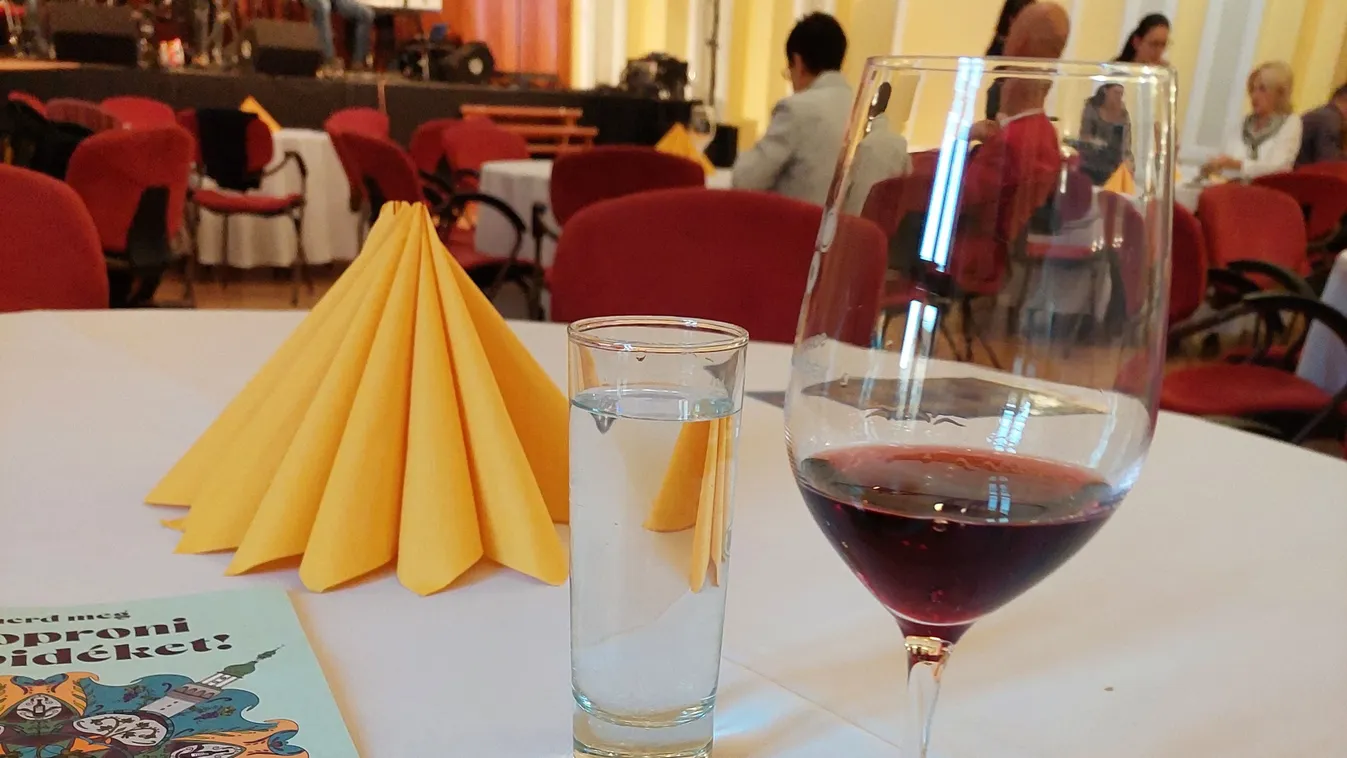 Versenyelőnybe kerülhet a Soproni borvidék - videó