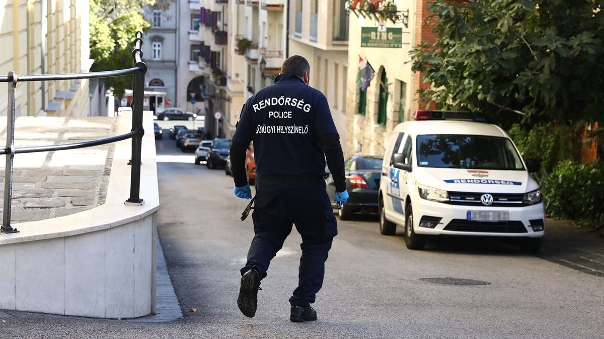 Újabb véres részletek a budapesti gimnáziumi késelésről – videó